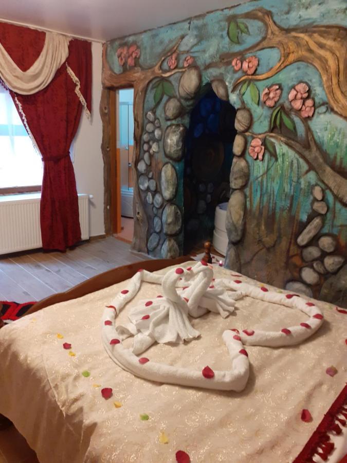 Pensiunea Dracula & Spa Căpăţîneni-Ungureni Exteriör bild